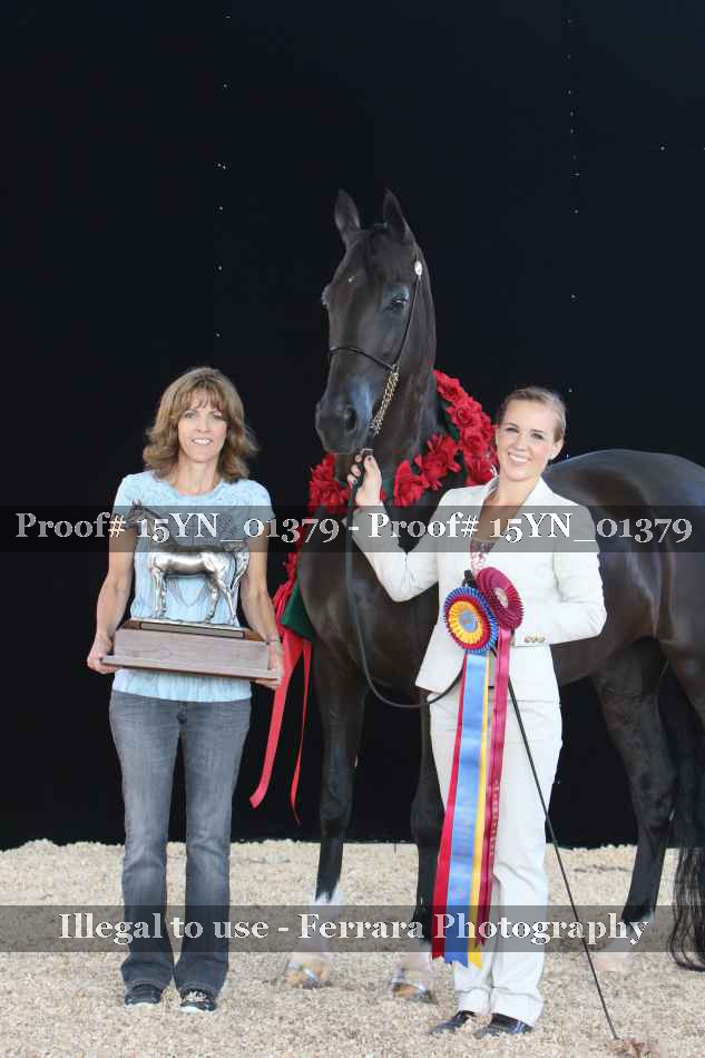 Proof 15YN_01379