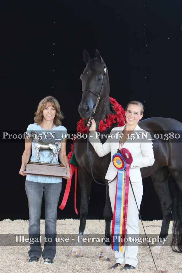 Proof 15YN_01380