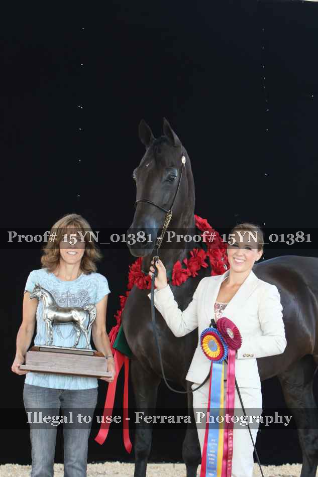 Proof 15YN_01381