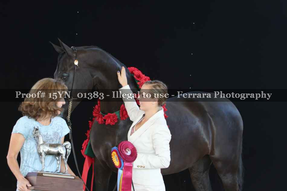Proof 15YN_01383