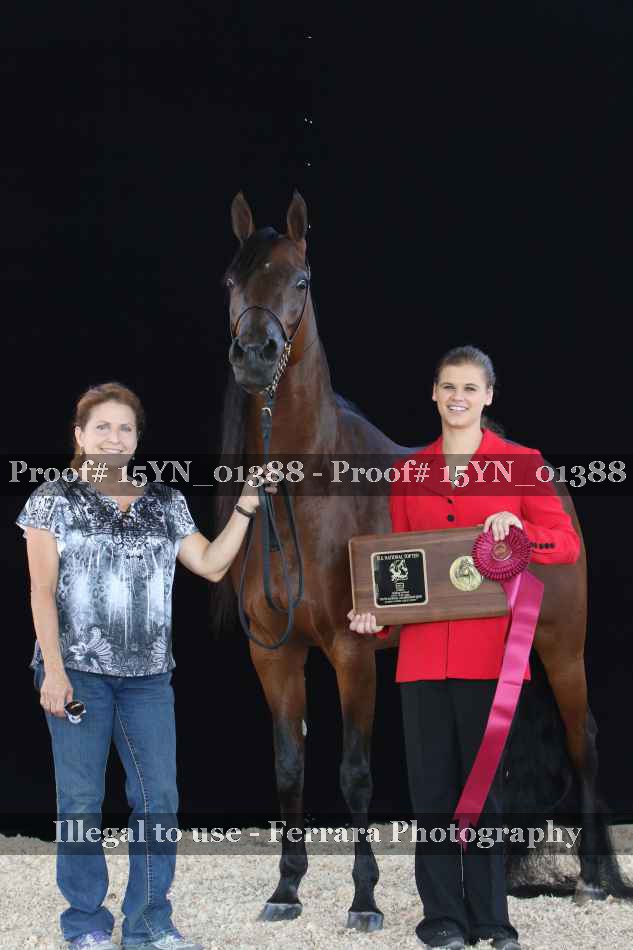 Proof 15YN_01388