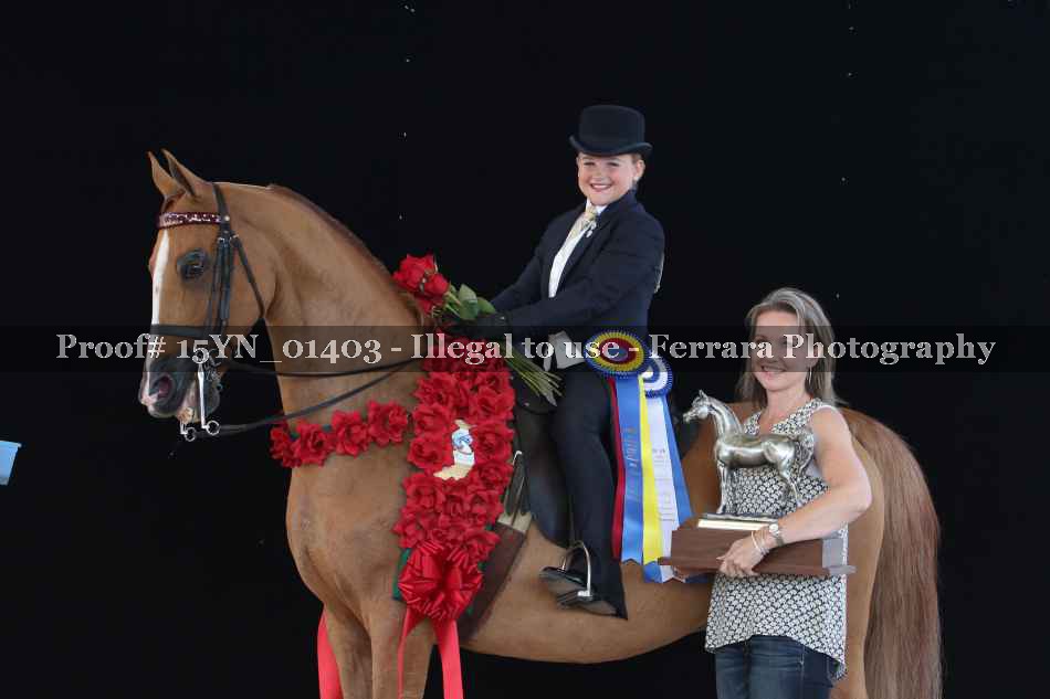Proof 15YN_01403
