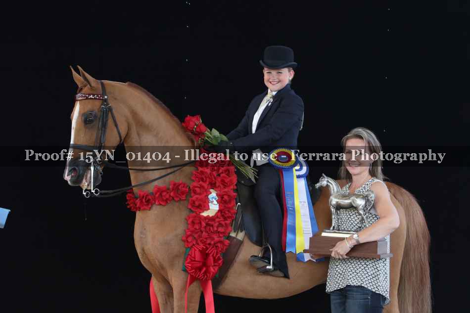 Proof 15YN_01404