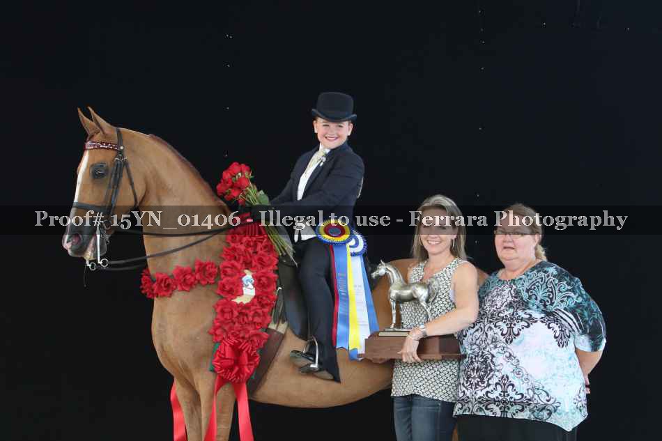 Proof 15YN_01406