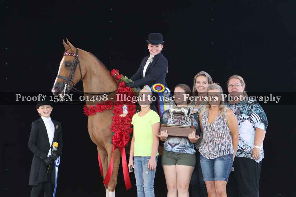 Proof 15YN_01408