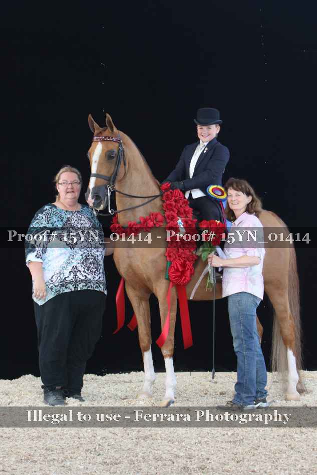 Proof 15YN_01414