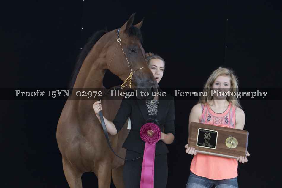 Proof 15YN_02972