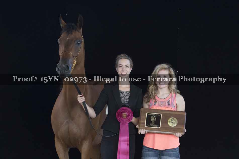 Proof 15YN_02973