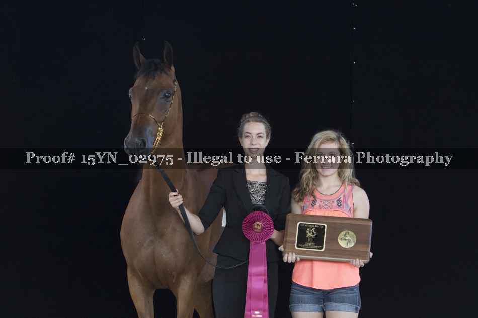 Proof 15YN_02975