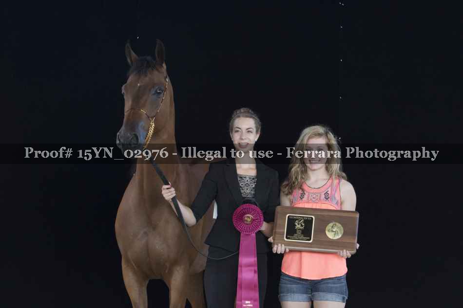 Proof 15YN_02976