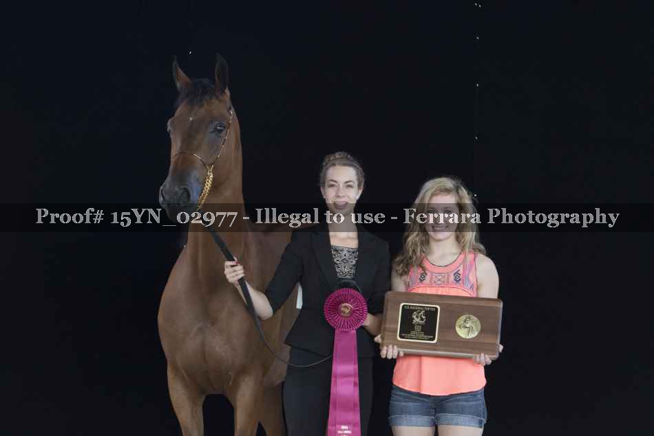 Proof 15YN_02977