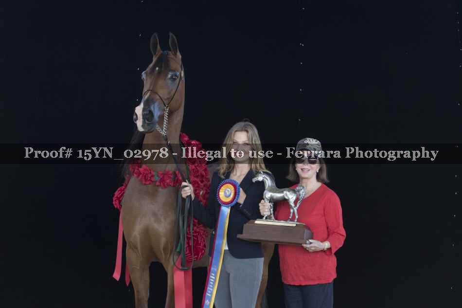 Proof 15YN_02978