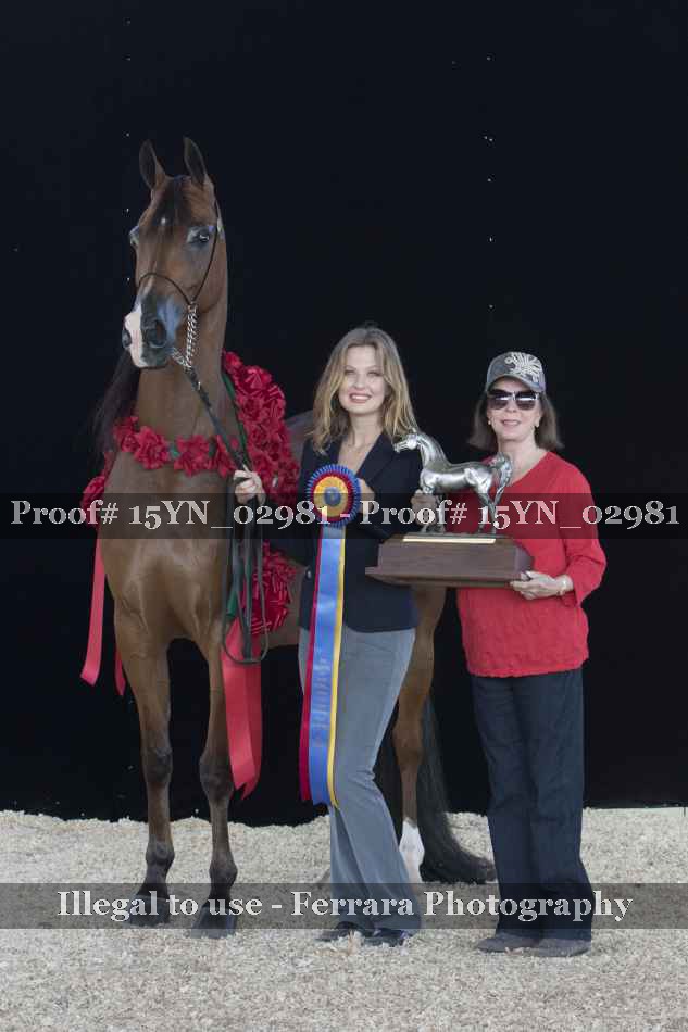 Proof 15YN_02981