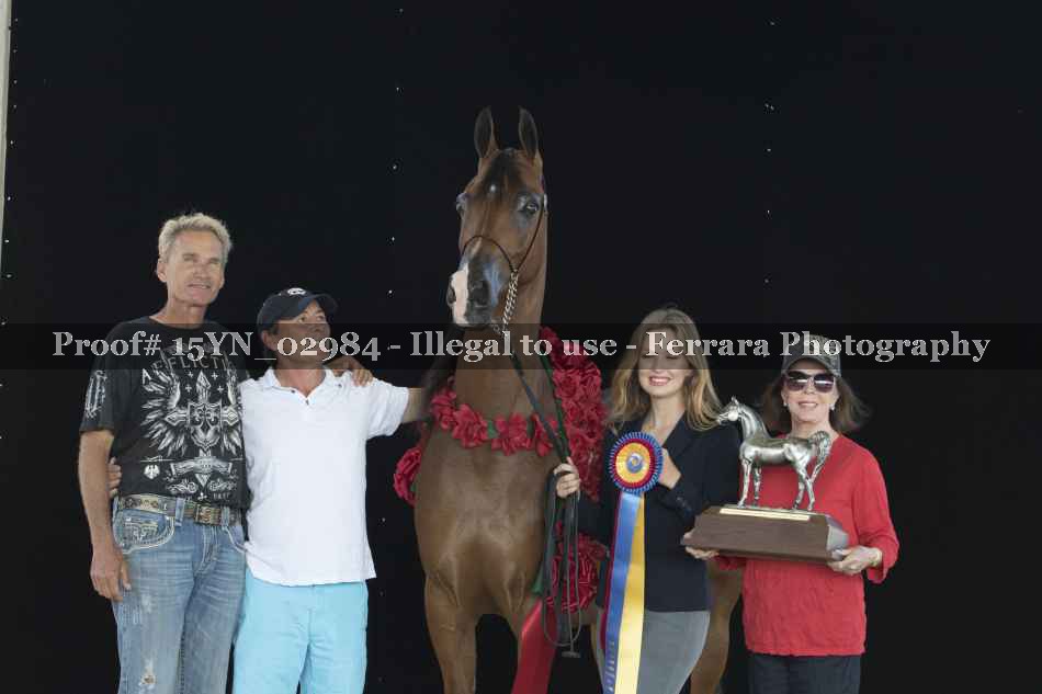 Proof 15YN_02984
