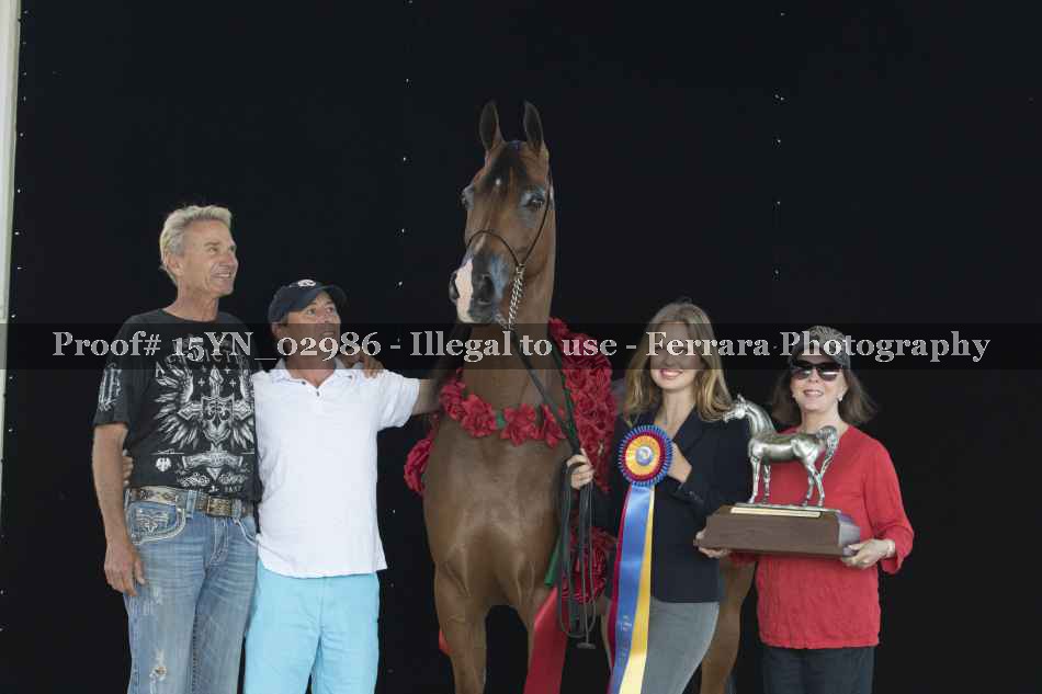 Proof 15YN_02986
