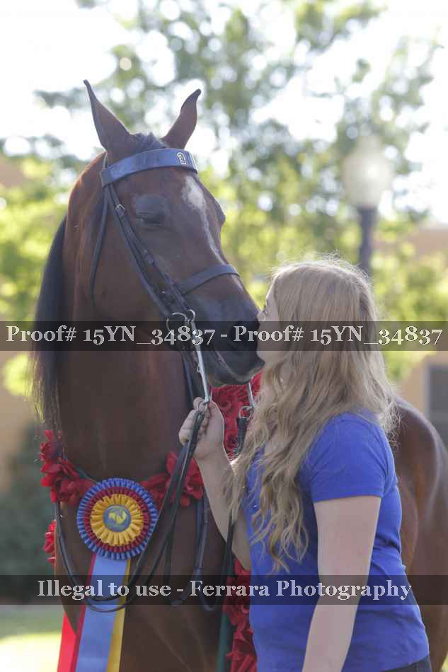 Proof 15YN_34837