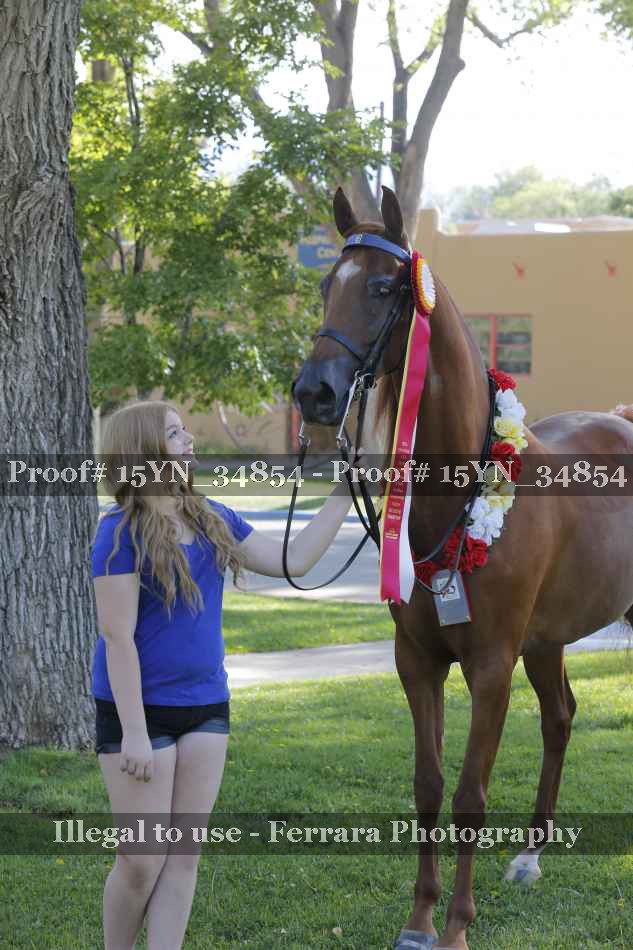 Proof 15YN_34854