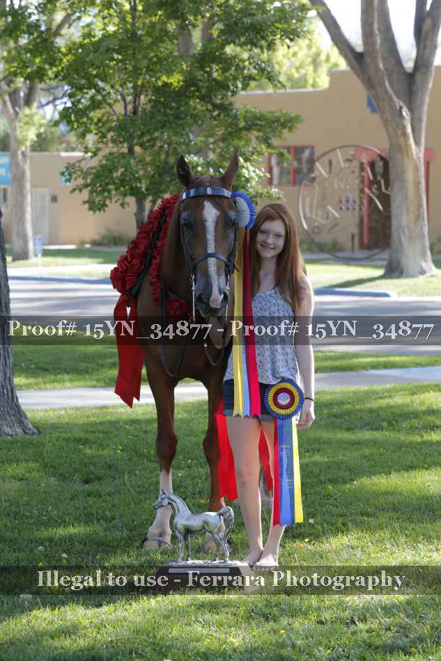 Proof 15YN_34877