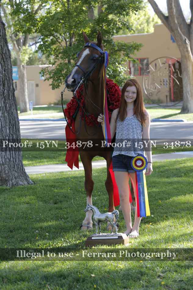 Proof 15YN_34878