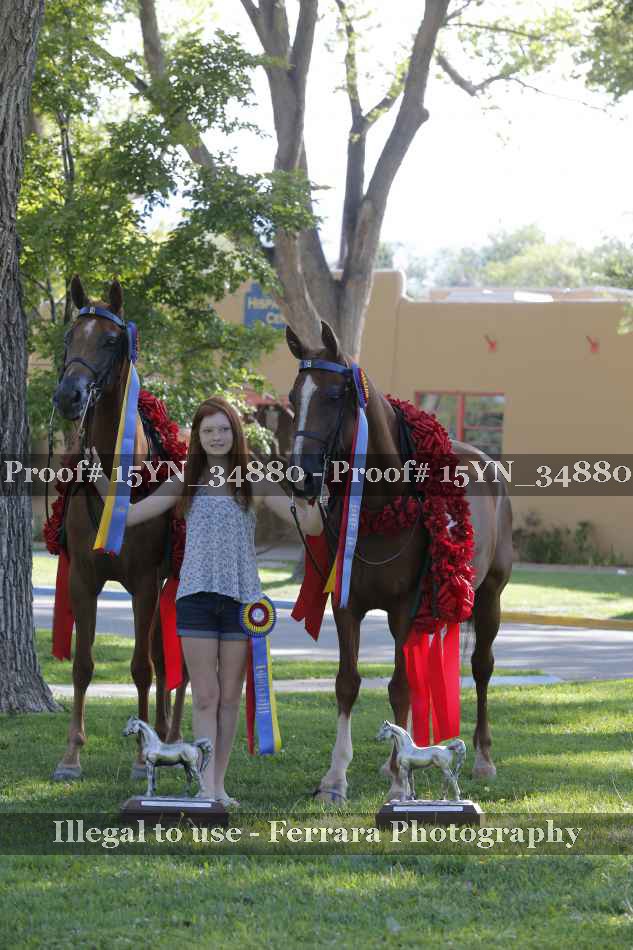 Proof 15YN_34880
