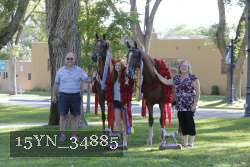 15YN_34885 proof