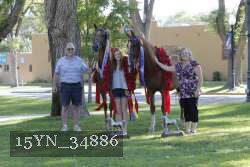15YN_34886 proof