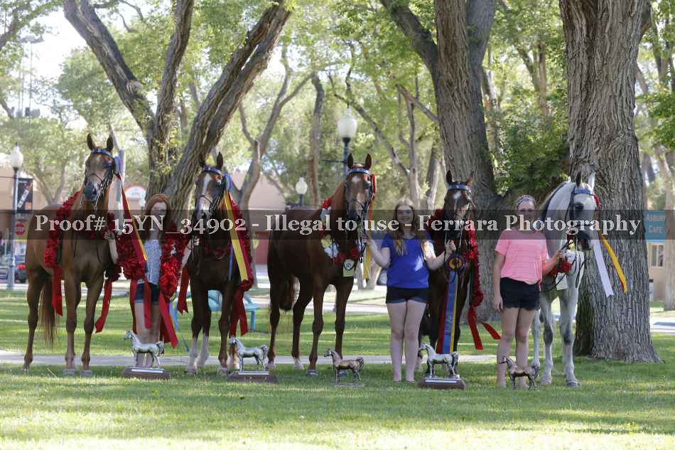 Proof 15YN_34902