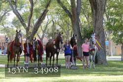15YN_34908 proof