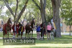 15YN_34909 proof