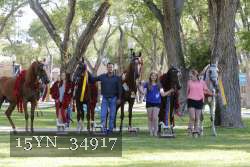 15YN_34917 proof