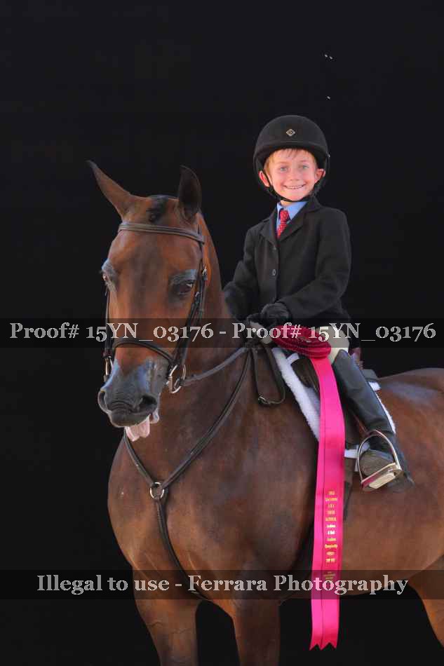 Proof 15YN_03176