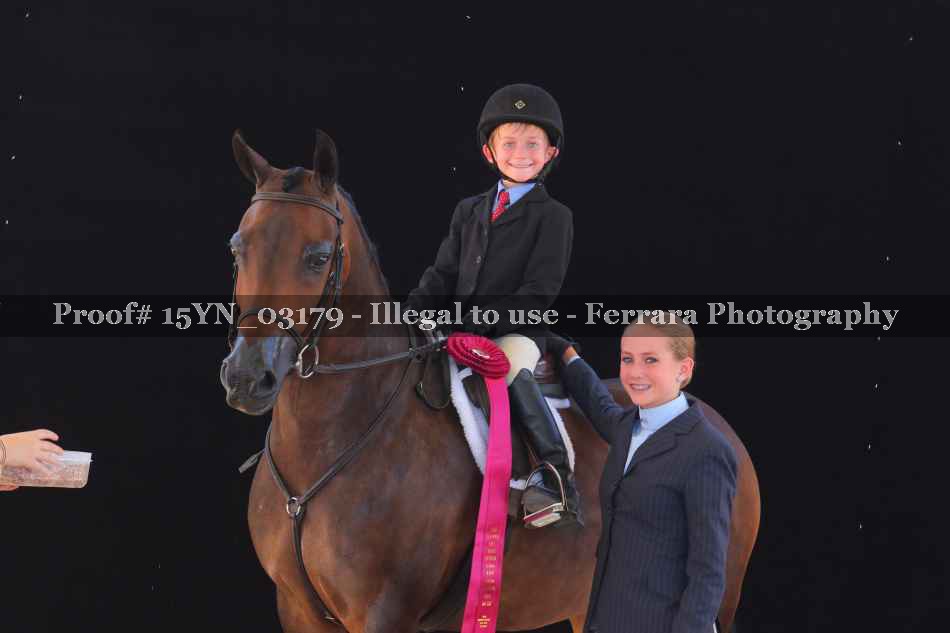 Proof 15YN_03179