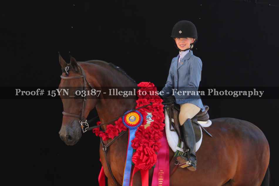 Proof 15YN_03187