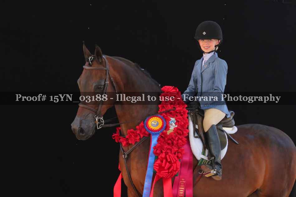 Proof 15YN_03188