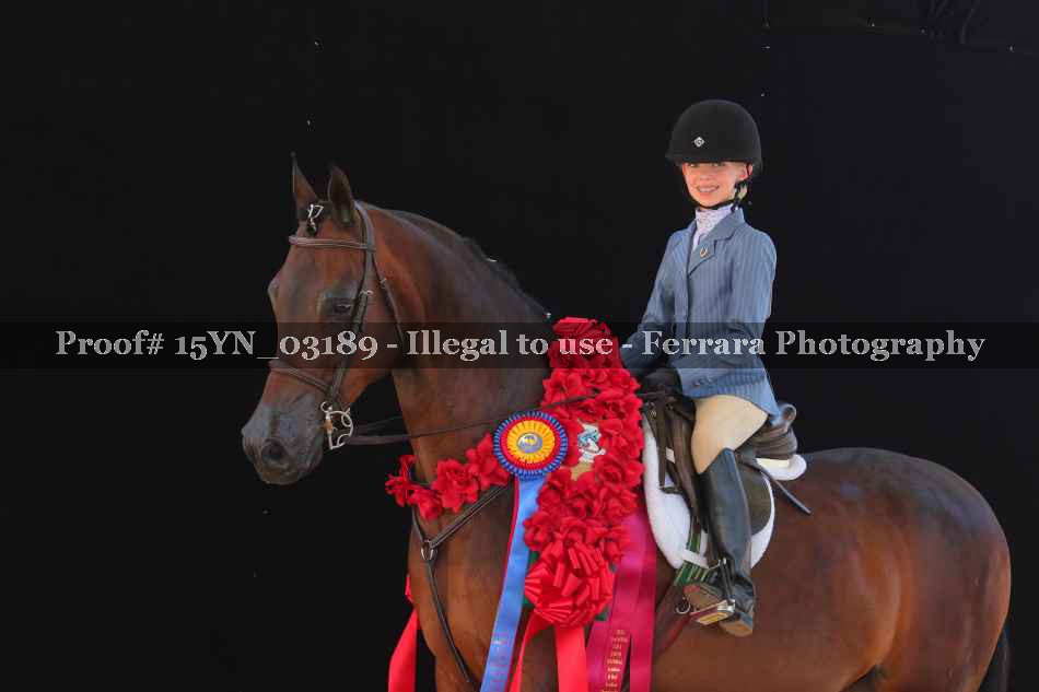Proof 15YN_03189