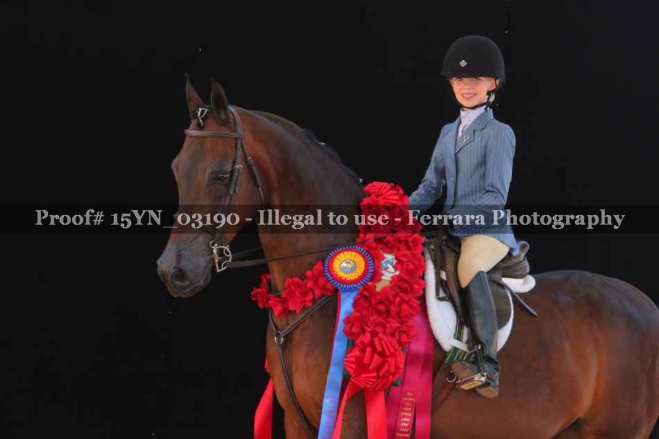 Proof 15YN_03190