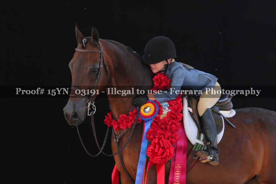 Proof 15YN_03191
