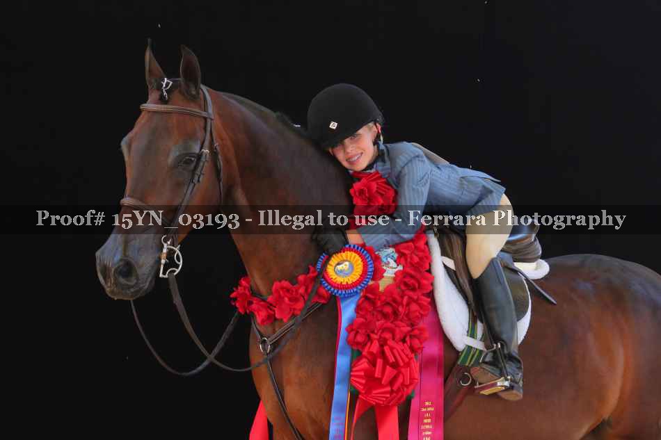 Proof 15YN_03193