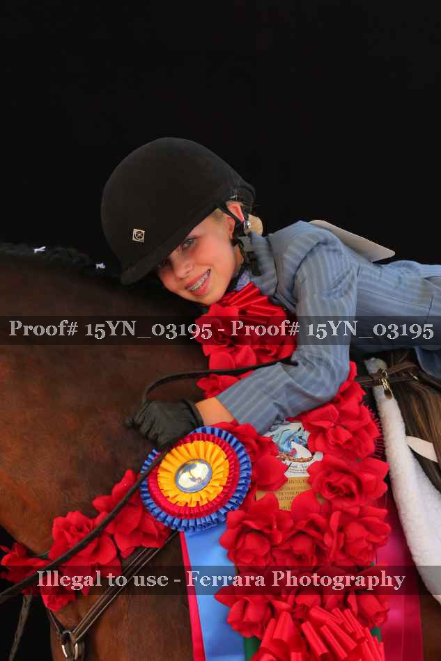 Proof 15YN_03195