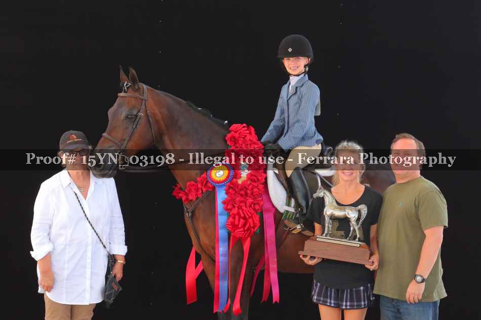 Proof 15YN_03198