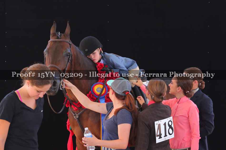 Proof 15YN_03209