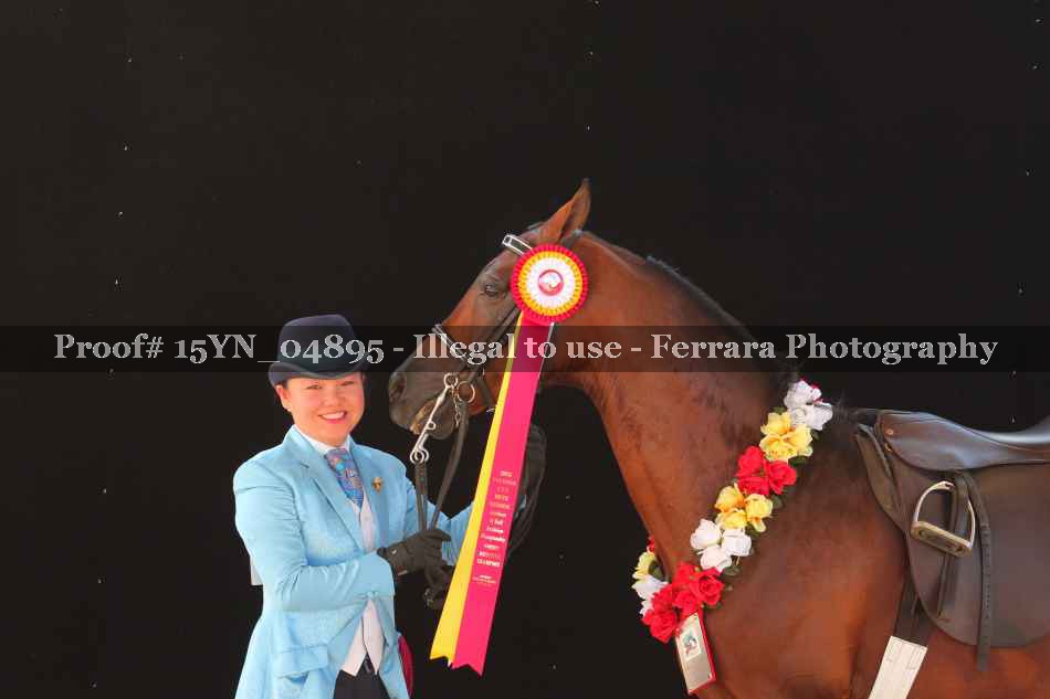 Proof 15YN_04895