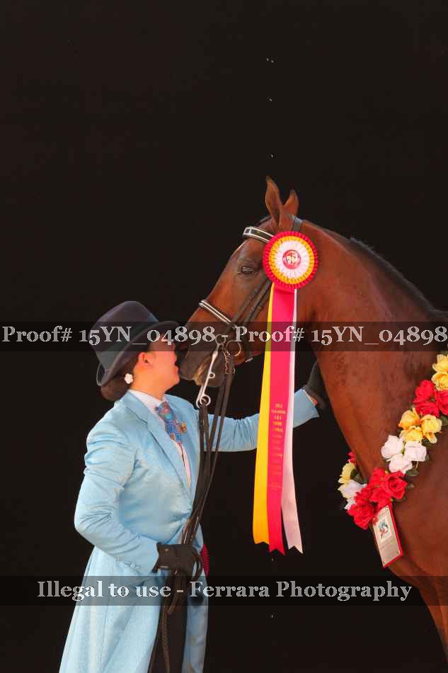 Proof 15YN_04898