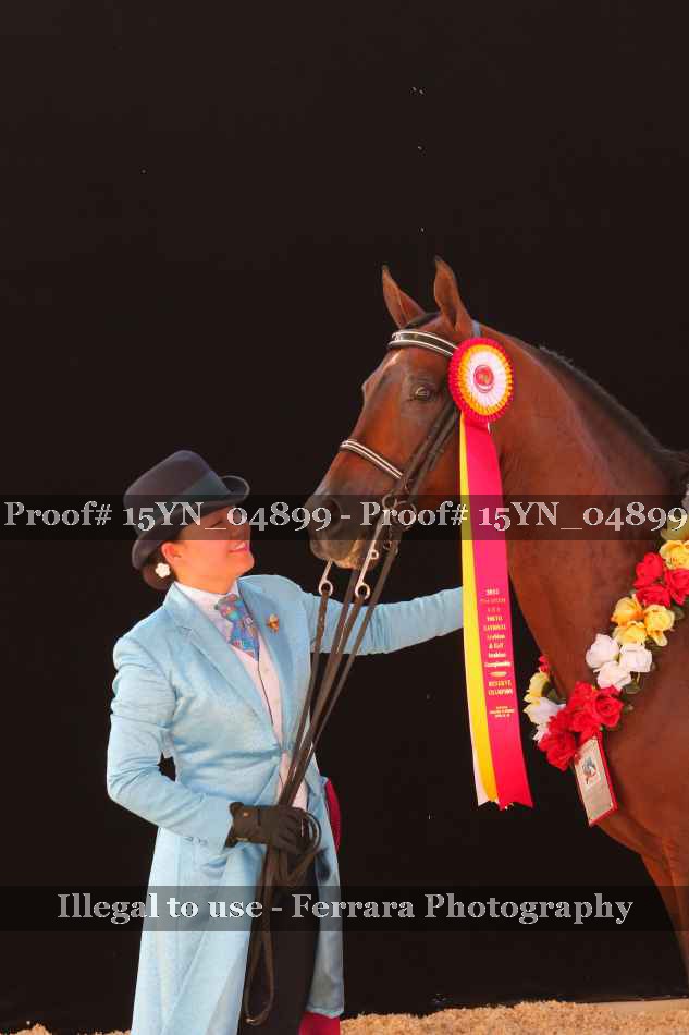 Proof 15YN_04899