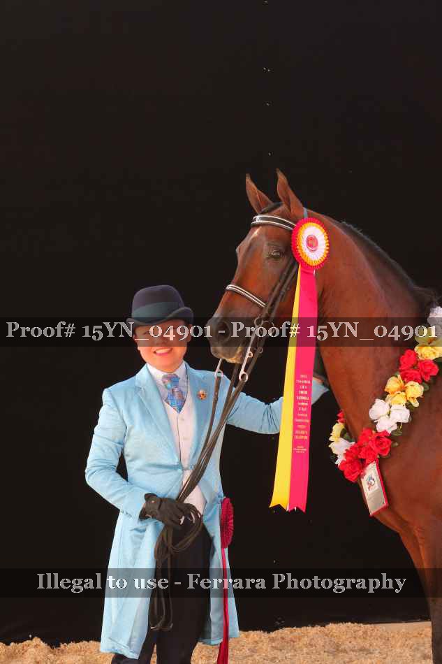 Proof 15YN_04901