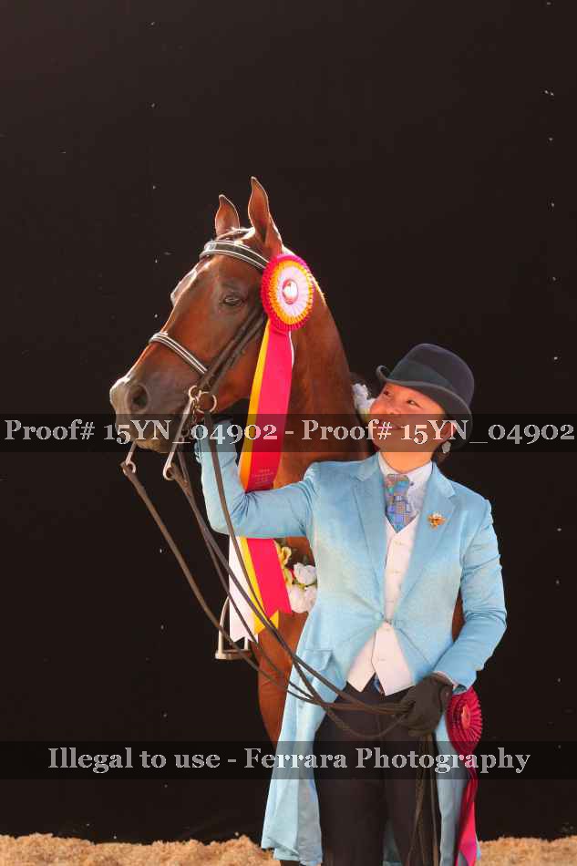 Proof 15YN_04902