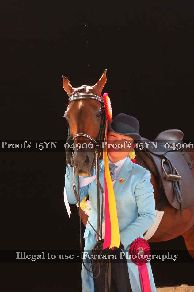 Proof 15YN_04906