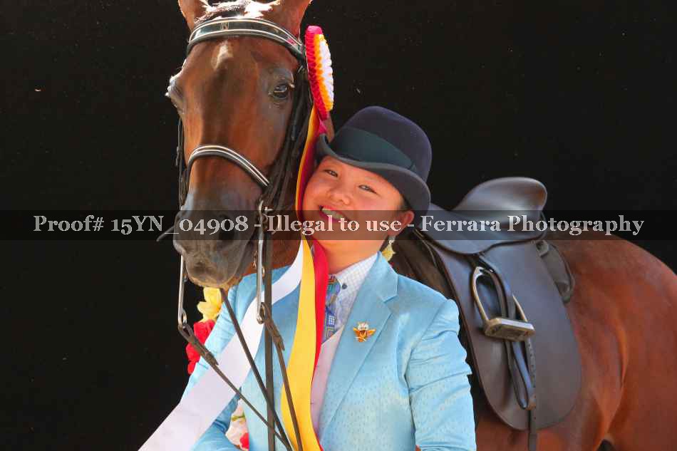 Proof 15YN_04908