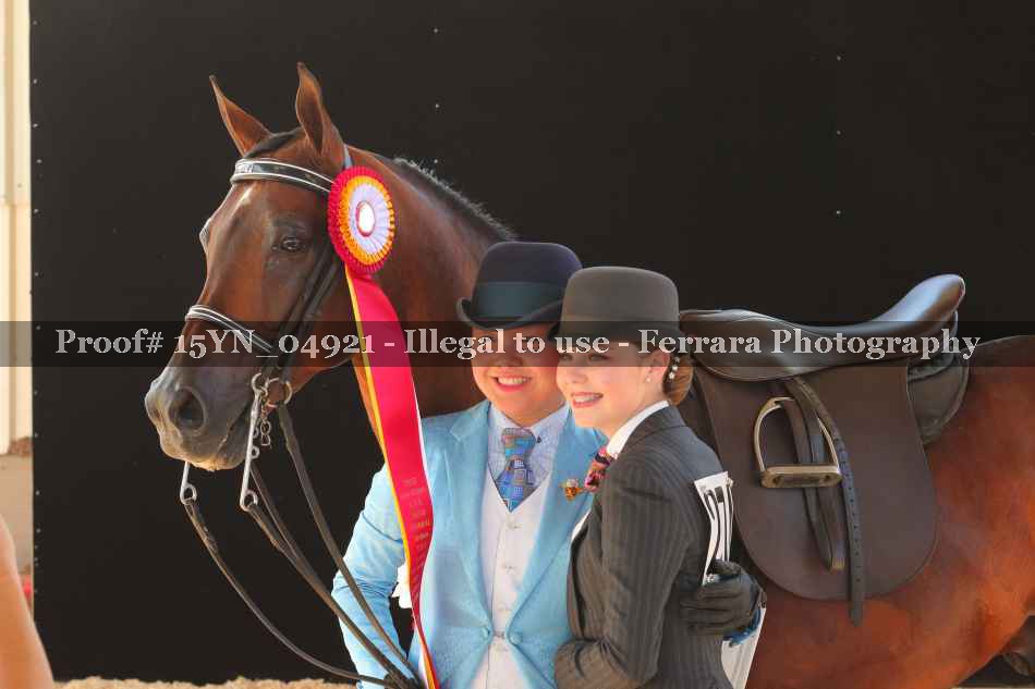 Proof 15YN_04921