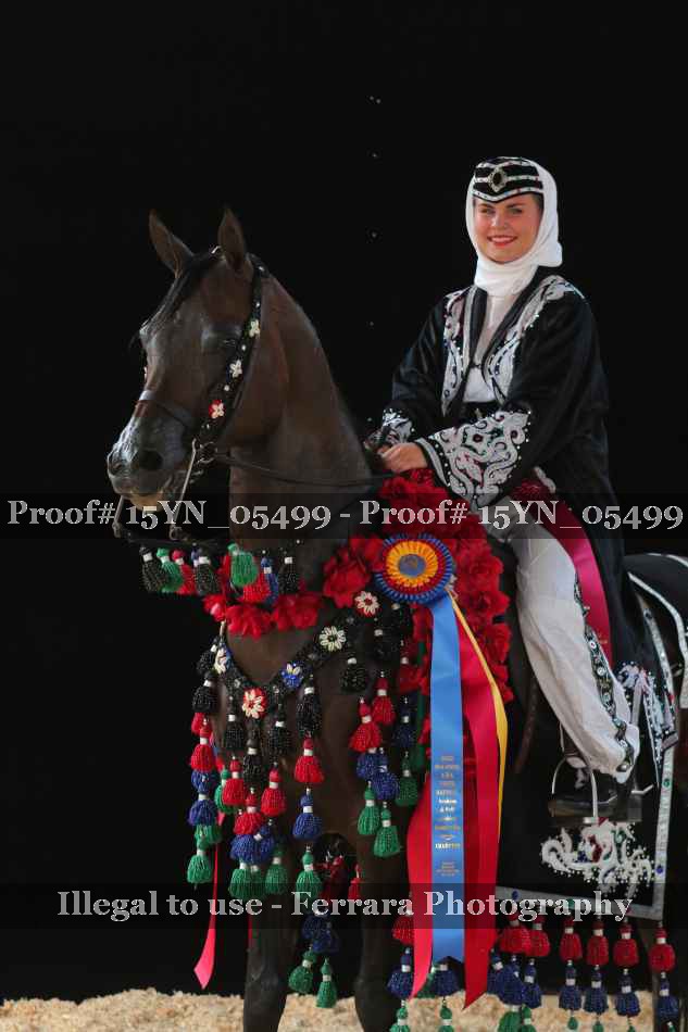 Proof 15YN_05499